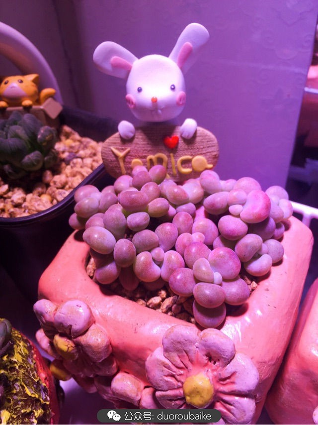 谈谈我的看法和感想,谈谈我对自己的看法