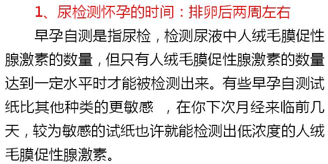 怀孕多长时间检查结果最精确,怀孕多久做检查能看孩子智力