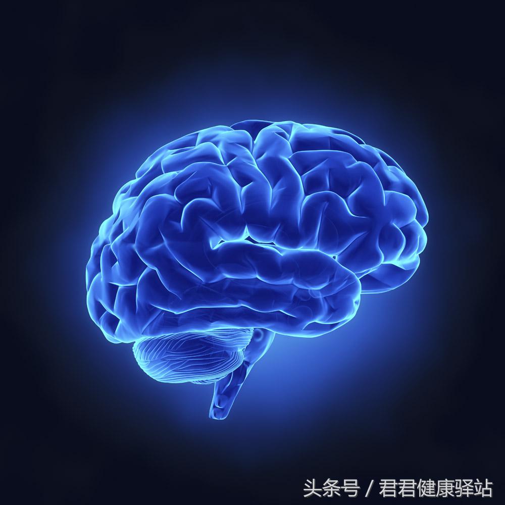 人体自我认知二、人体最高统治者脑细胞