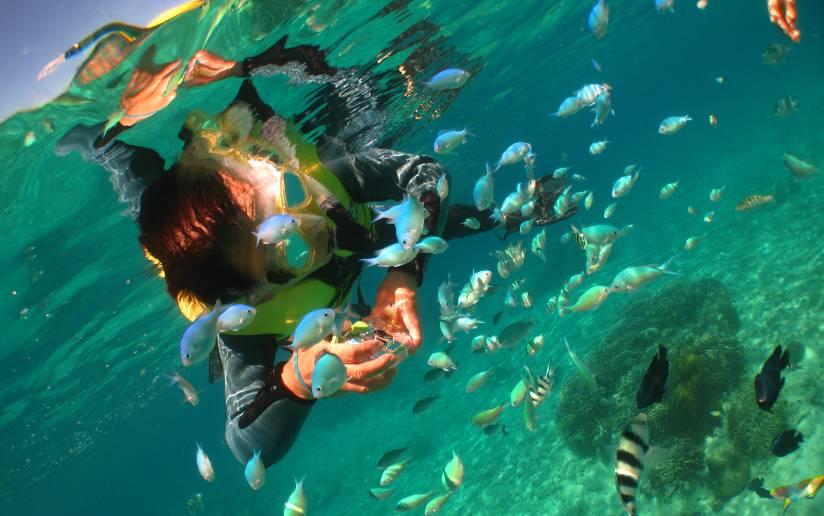 你敢不敢赴一场高颜值的视觉盛宴,你敢不敢去一场说走就走的旅行