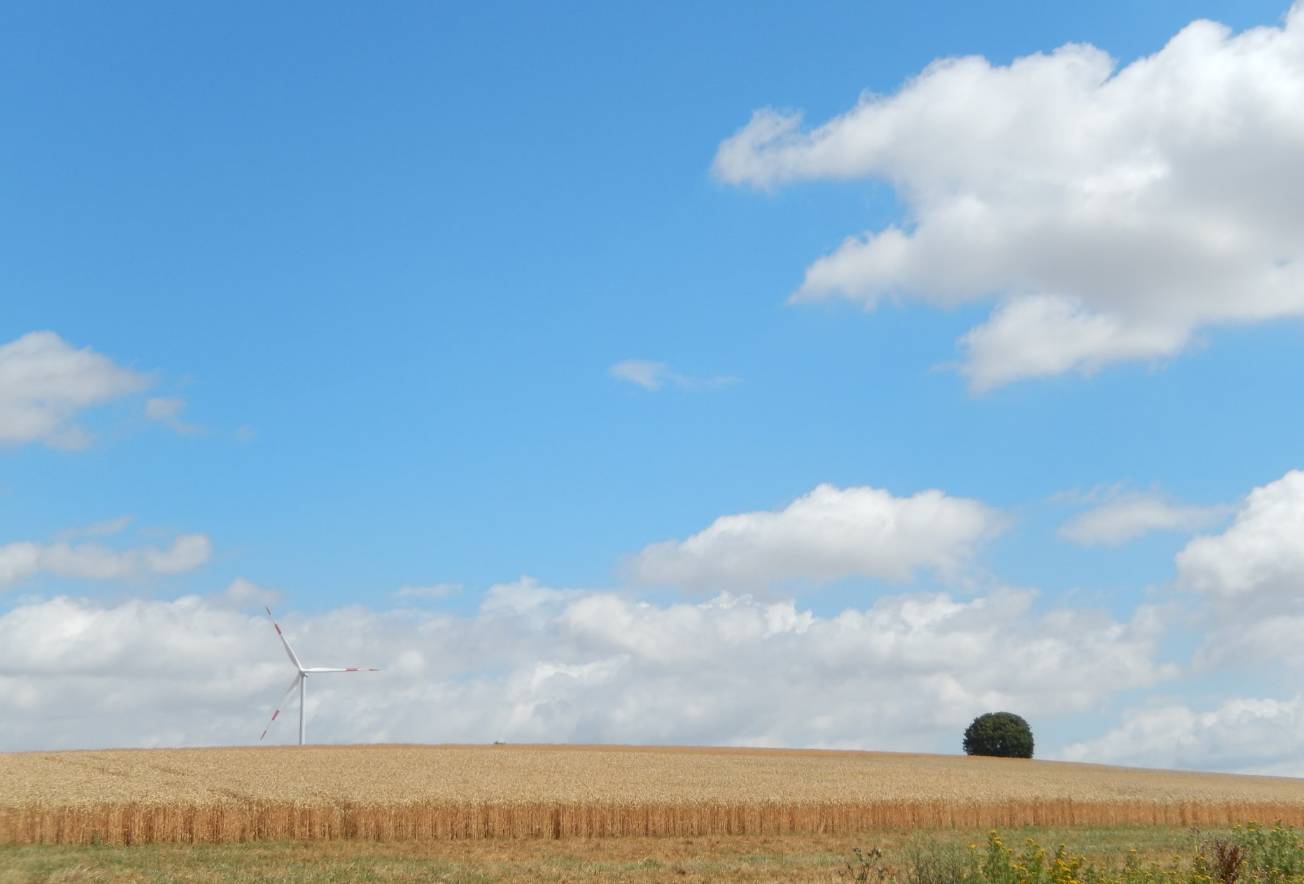 叶克飞：请放心，大摇大摆地使用政府厕所吧