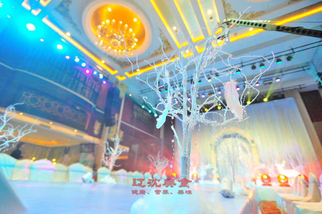 沈阳婚宴场地费一般多少钱,一场婚宴大概要多少钱