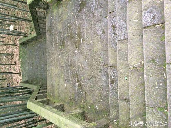 我在非洲工作的日子，给大家介绍下非洲的风土人情