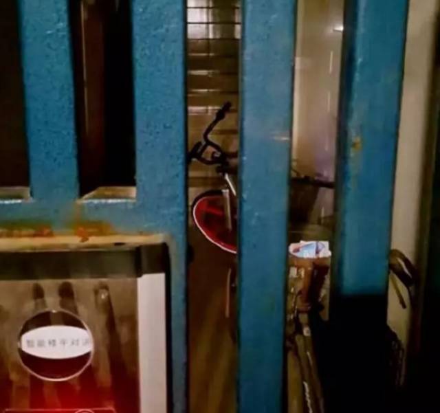 上海人骑共享自行车,现在上海共享单车怎样使用