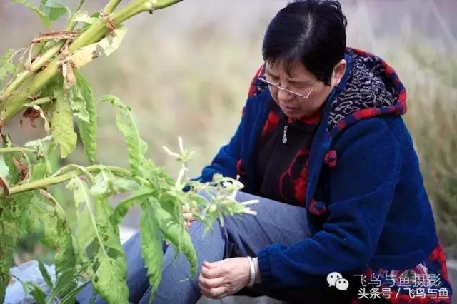 最好的旅程是在家陪伴,最好的旅行是陪伴