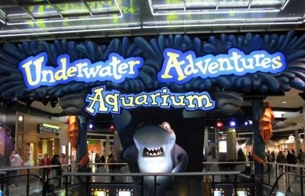 全球大型购物连锁中心,全球三大购物中心