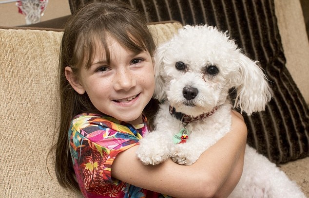 狗狗特发性癫痫能治愈吗,国外癫痫发作狗狗帮助主人视频