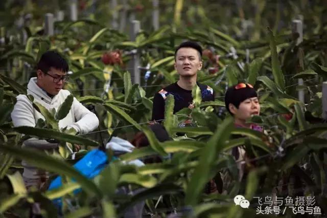 最好的旅游就是陪伴,一场美好的旅行是爱的陪伴