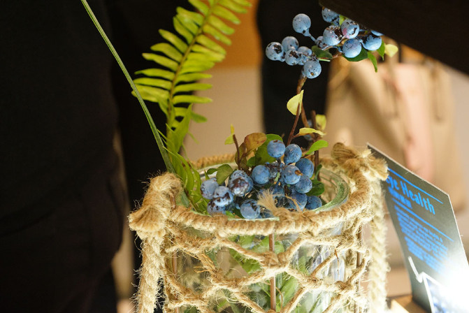 香港哪里购买保健品好,香港哪里买零食保健品便宜