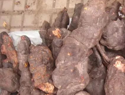 脱发男的自我救治,脱发严重吃何首乌有用吗