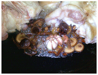 潮汕卤猪脚拜老爷家常做法,潮汕卤猪脚的配料批发