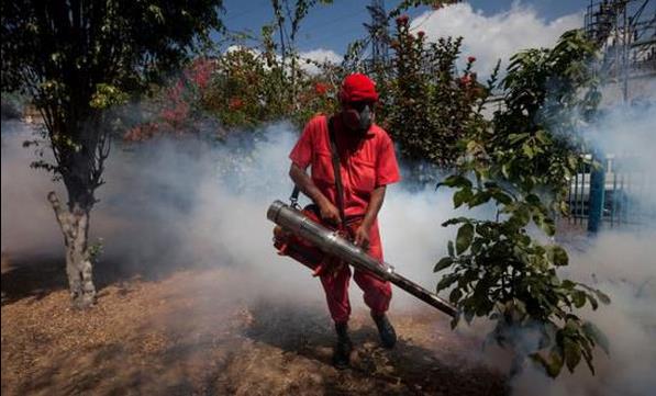 孕妇蚊虫叮咬用什么药安全,蚊虫叮咬孕妇注意事项
