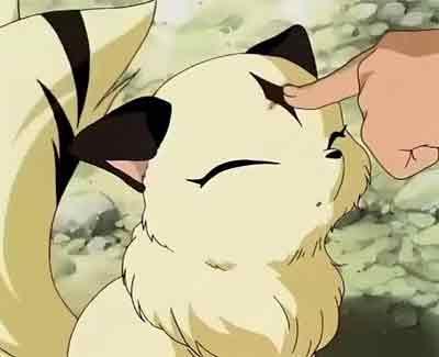 动漫卡通猫的名字,可爱动漫猫图片