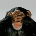 陈孝萱分手原因,陈孝萱感情史