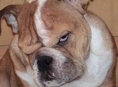 陈孝萱分手原因,陈孝萱感情史