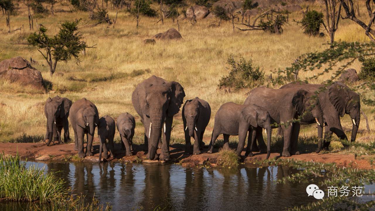 为什么有钱人都爱住别墅,为什么大佬都喜欢四季酒店