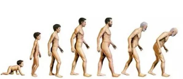 怕冷脸色暗黄精神疲惫怎么调理,怕冷是血虚还是阳虚怎么调理