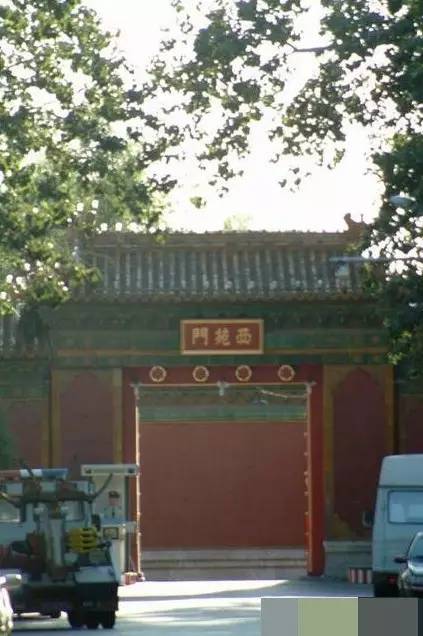 她关注|神秘的中南海，原来是这样！