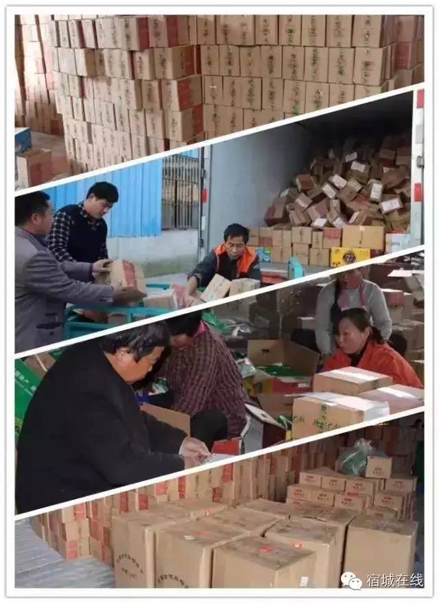 回望“双十一”，宿城嗨爆了！