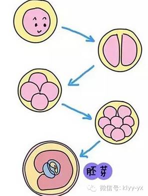 产后防治知识大全,预防产后出血护理方式分析