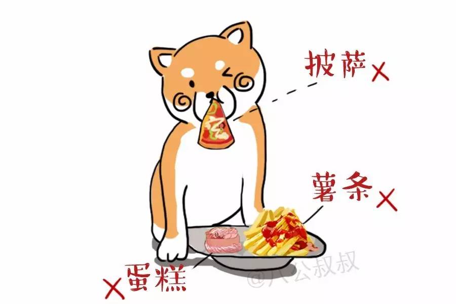 狗狗脂肪肝的临床表现,涨姿势对身体的好处