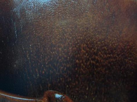 犀角简介,犀角讲解