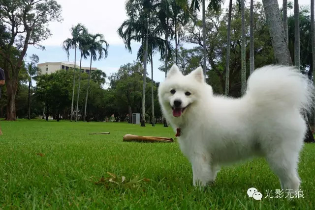 放慢脚步一起看世界,放慢脚步一起赏秋