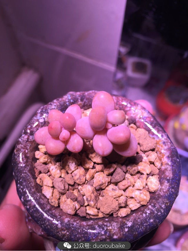 谈谈我的看法和感想,谈谈我对自己的看法