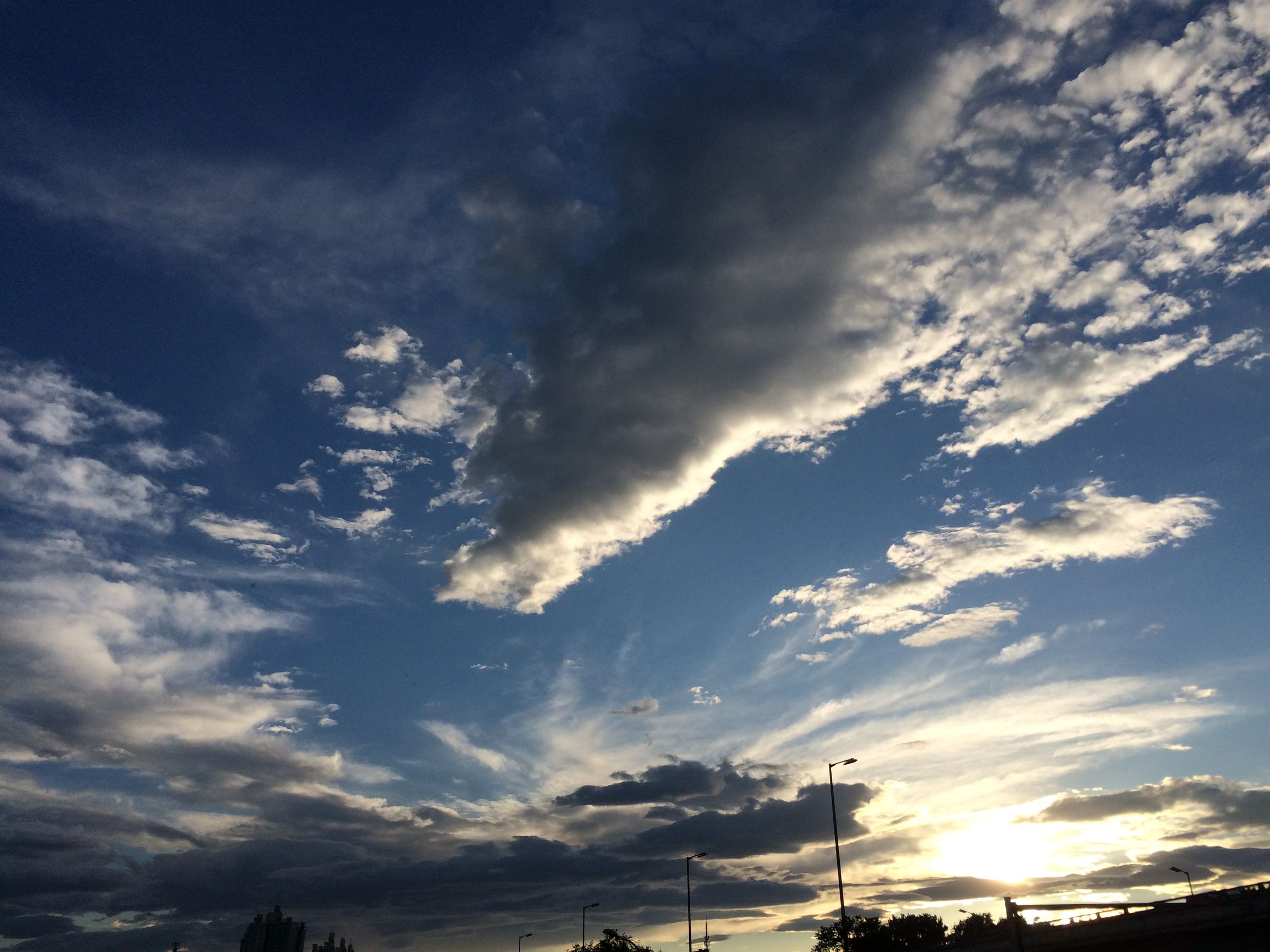 Fight肿瘤君之闯关——血刃肿瘤君！