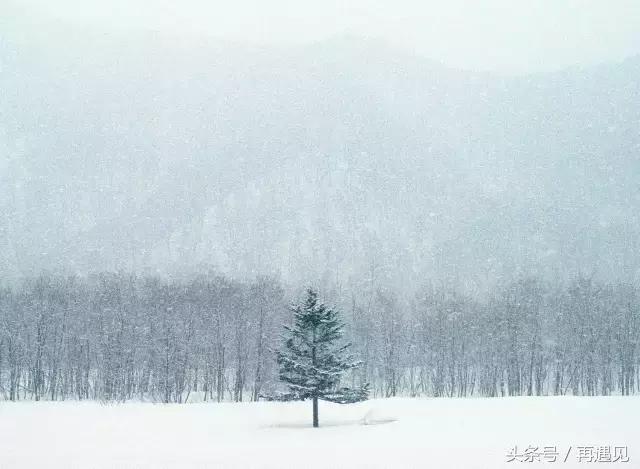 札幌和小樽哪个值得去,北海道的小樽为什么值得去