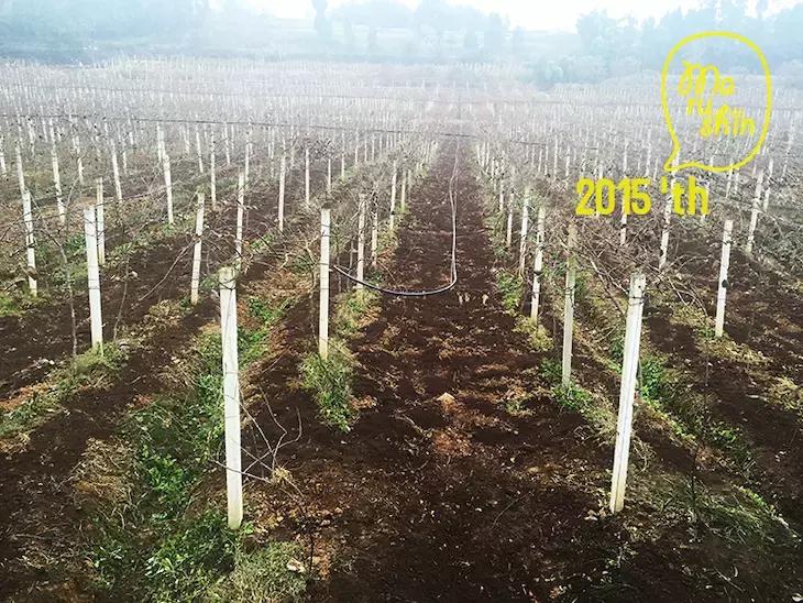 农心|一起向匠人精神致敬!