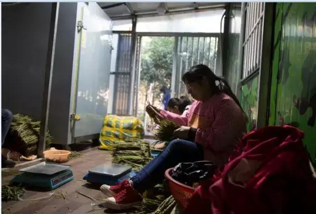 双11交易额半小时破500亿,温州双十一交易额