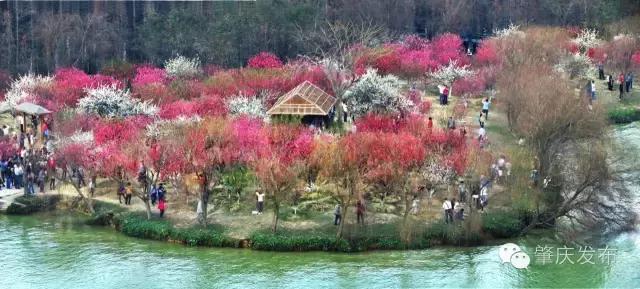 肇庆发起了一条好友印象墙