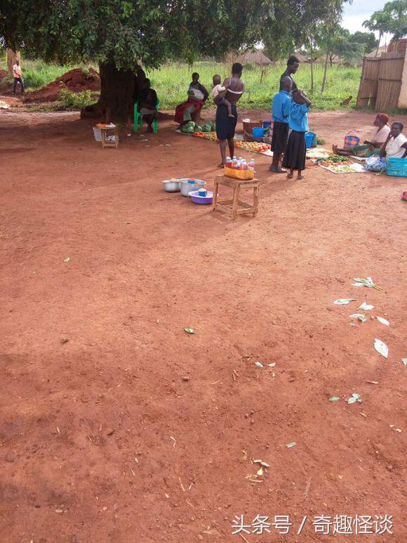 我在非洲工作的日子，给大家介绍下非洲的风土人情