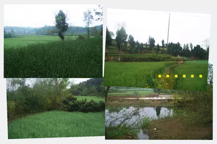 农心|一起向匠人精神致敬!