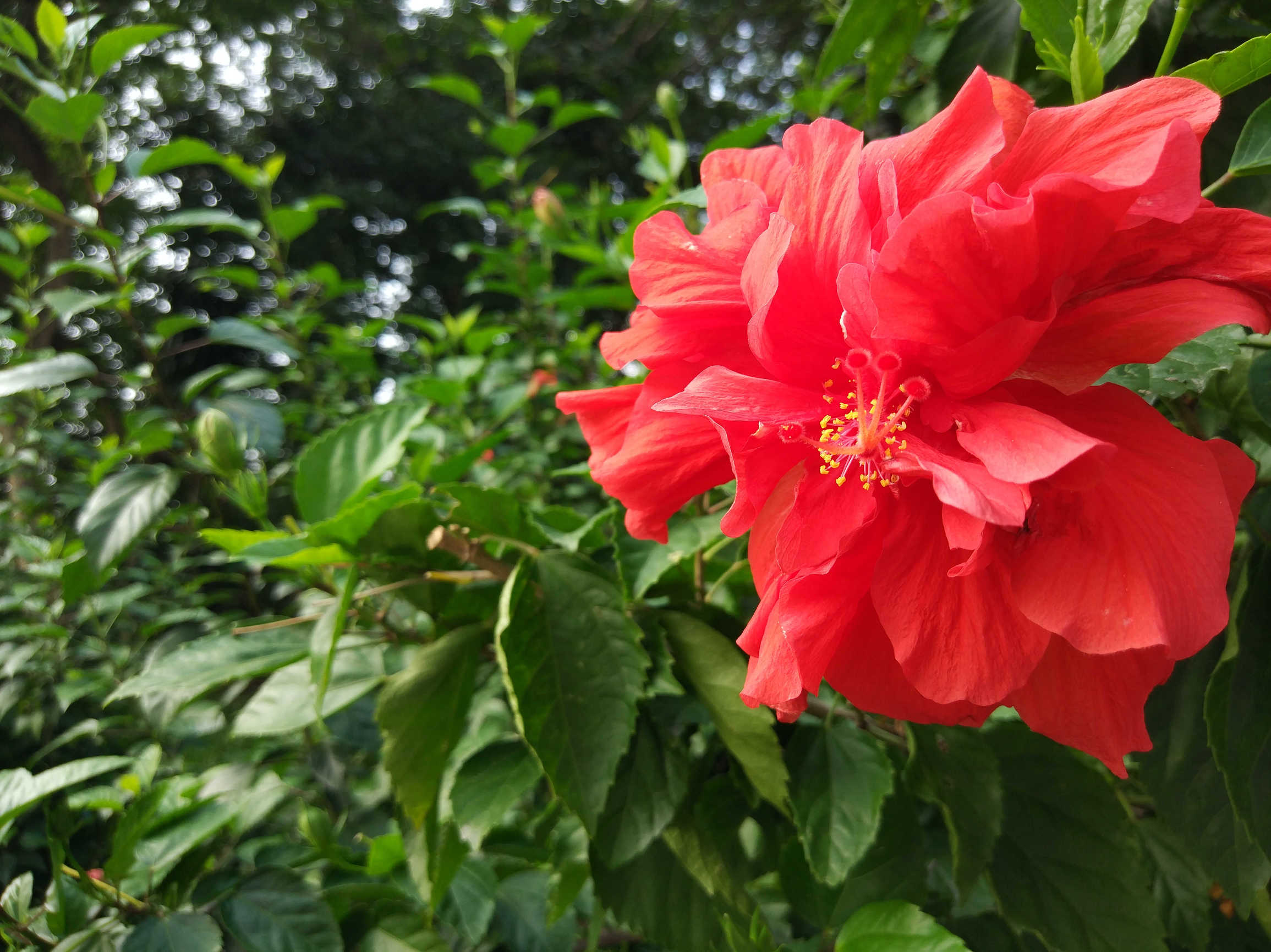 2017年2月的小米note2,小米NOTE2测评