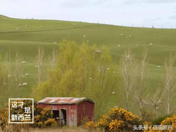 新西兰美到让人窒息,新西兰哪里最美