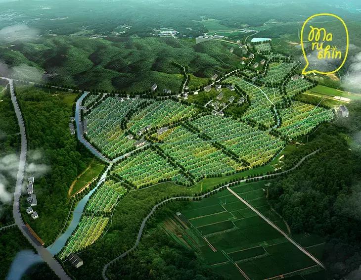 农心|一起向匠人精神致敬!