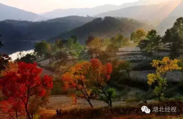 武汉秋天不可错过的美景,武汉踏春打卡地