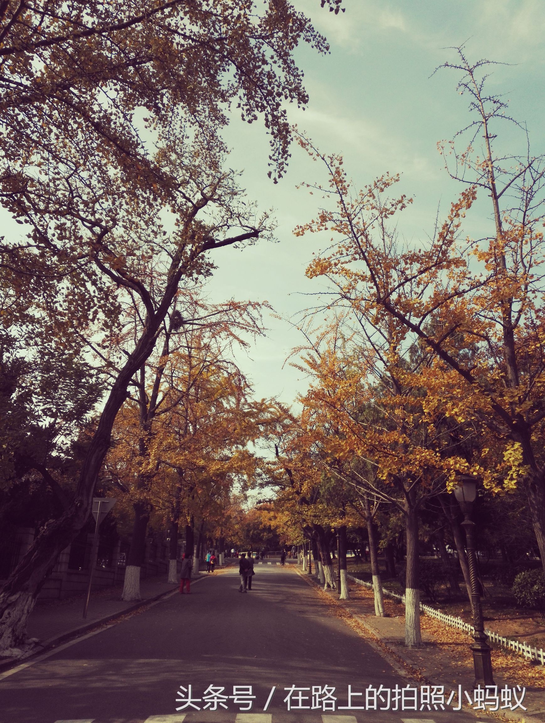 必看双十一剁手指南,双十一剁手前必背清单