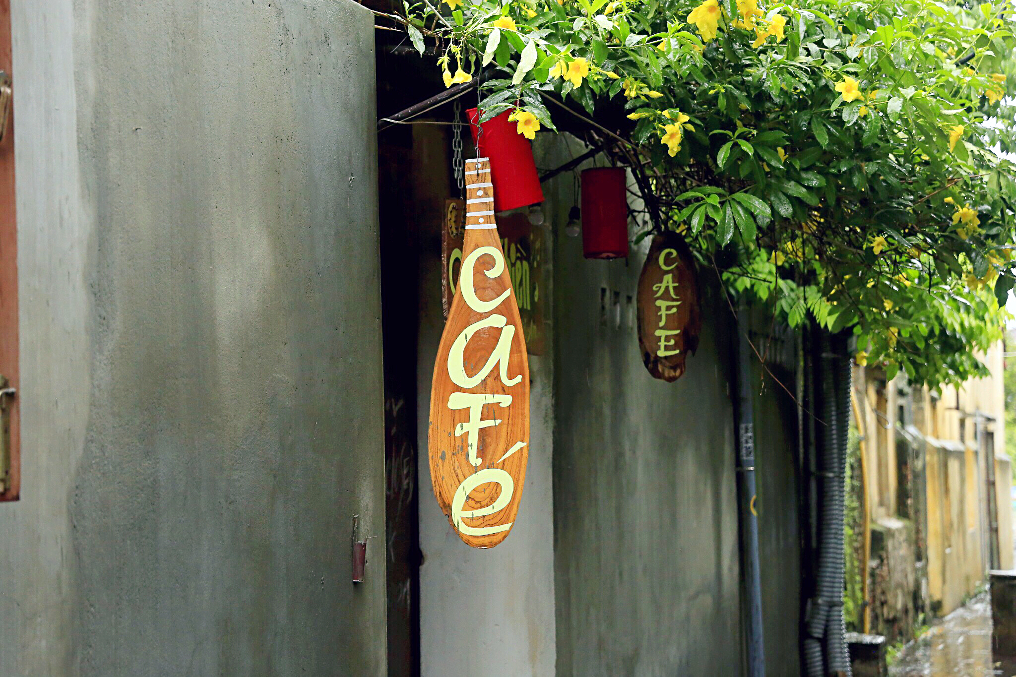 在越南会安古镇，喝一杯柠檬叶荷花茶、拍一次灯笼里的订婚照