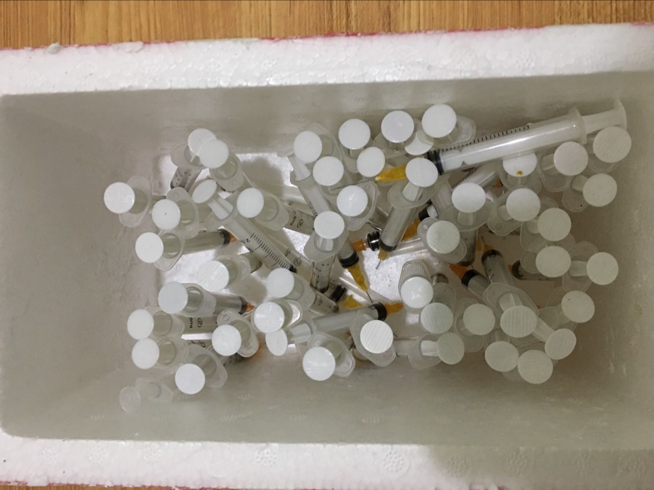 狗狗犬瘟热8天了,狗狗犬瘟热治疗已经20天了