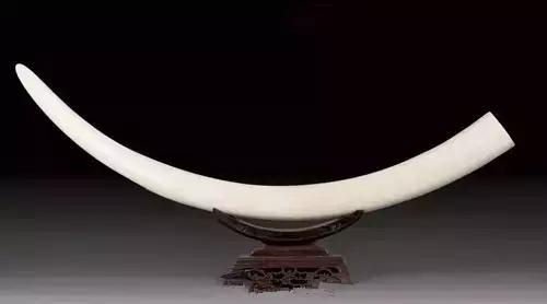 人们都用什么垫鼻子的,垫鼻子是拿什么垫