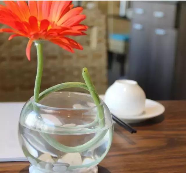 哈尔滨这十家苍蝇馆子,哈尔滨出名的俄罗斯湖滨餐厅