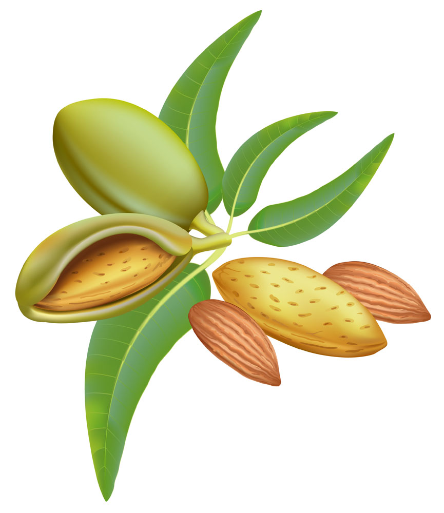 达特医杏仁酸精华,杏仁酸推荐达尔肤