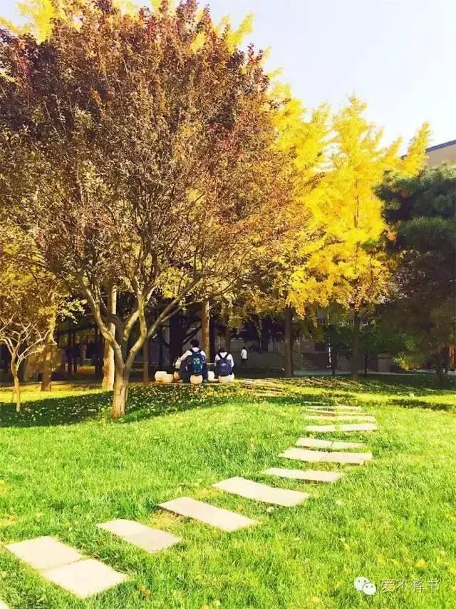 美呆了！被银杏包围的北京育英学校，在这里学习都是一种享受
