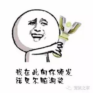 看看那些年我们一起追过的荷兰猪猪粮（下）