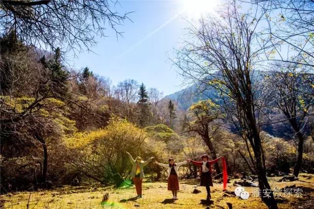 最美的季节,醉美的季节原唱视频