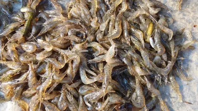 东北快消失了的一些农村美食,东北乡下消失的美食