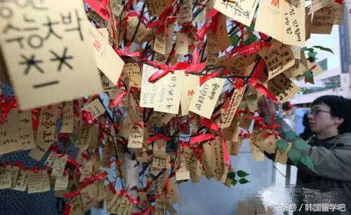 韩国高考也疯狂，考前祭祀大猪头祈福考生金榜题名